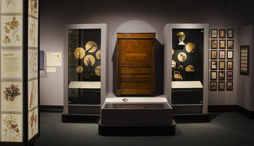 museum displays cases, wooden cabinet